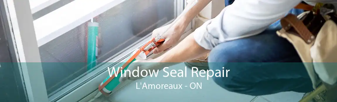 Window Seal Repair L'Amoreaux - ON