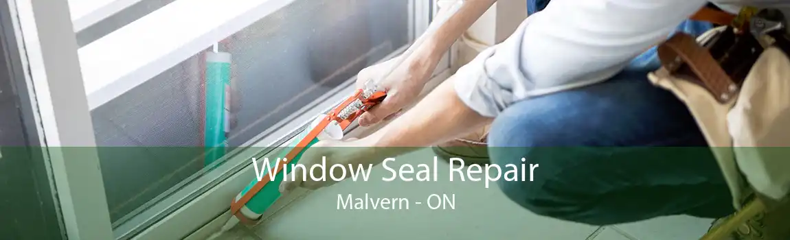 Window Seal Repair Malvern - ON