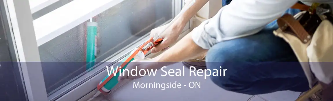 Window Seal Repair Morningside - ON