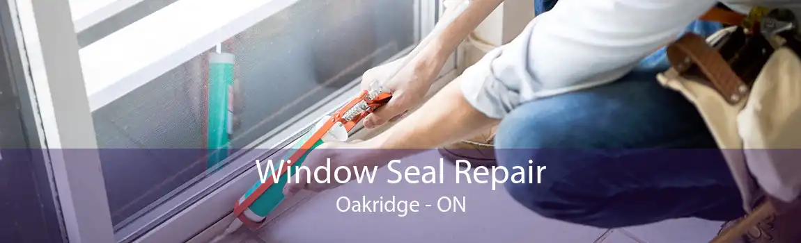 Window Seal Repair Oakridge - ON