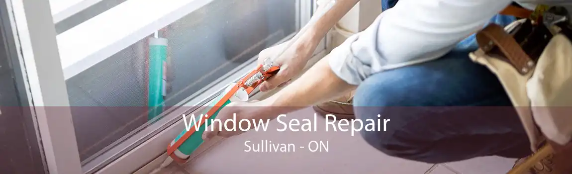 Window Seal Repair Sullivan - ON
