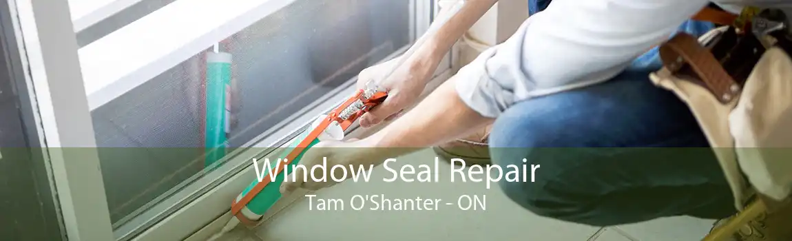 Window Seal Repair Tam O'Shanter - ON