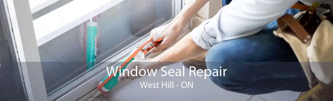 Window Seal Repair West Hill - ON