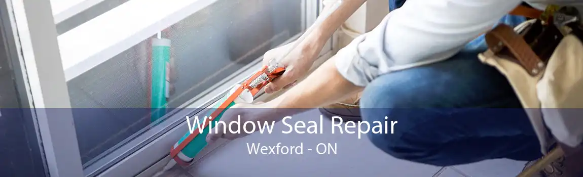 Window Seal Repair Wexford - ON