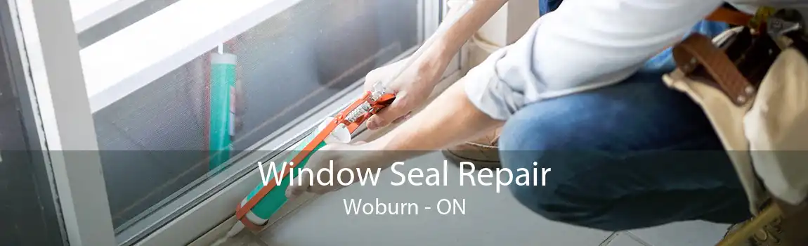 Window Seal Repair Woburn - ON